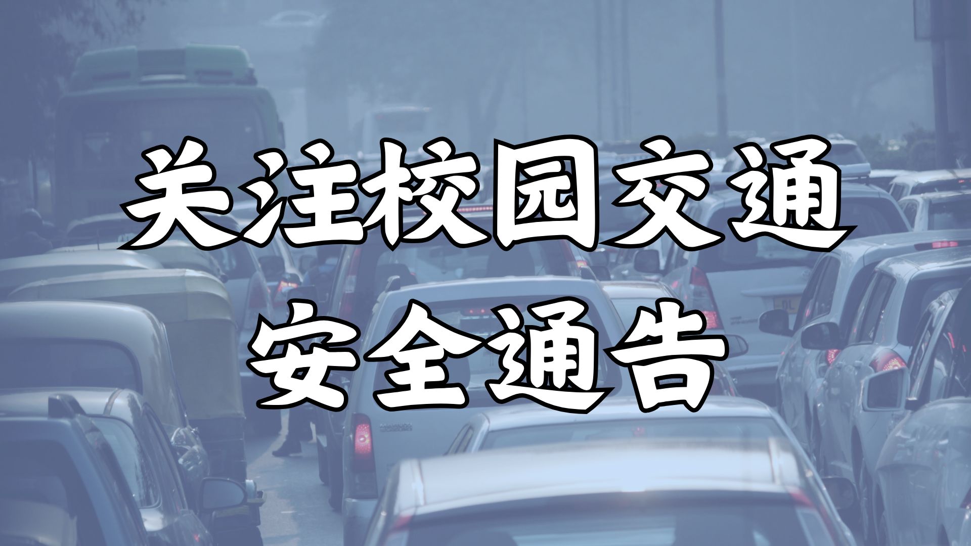 关注校园交通安全通告